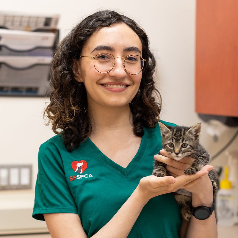 San Francisco SPCA Dr. Diana Montaño Reynoso