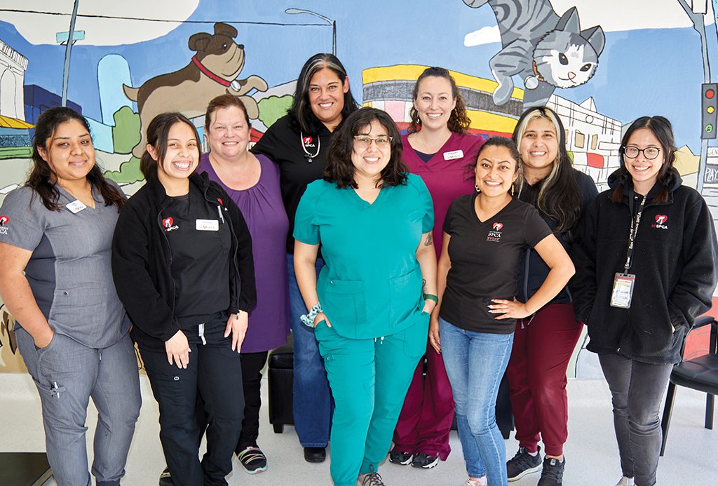 San Francisco SPCA work with us