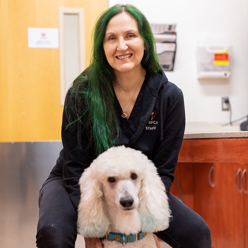 SF SPCA Veterinarian Grace Park with dog