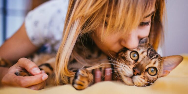 SF SPCA Is Your Pet Sick