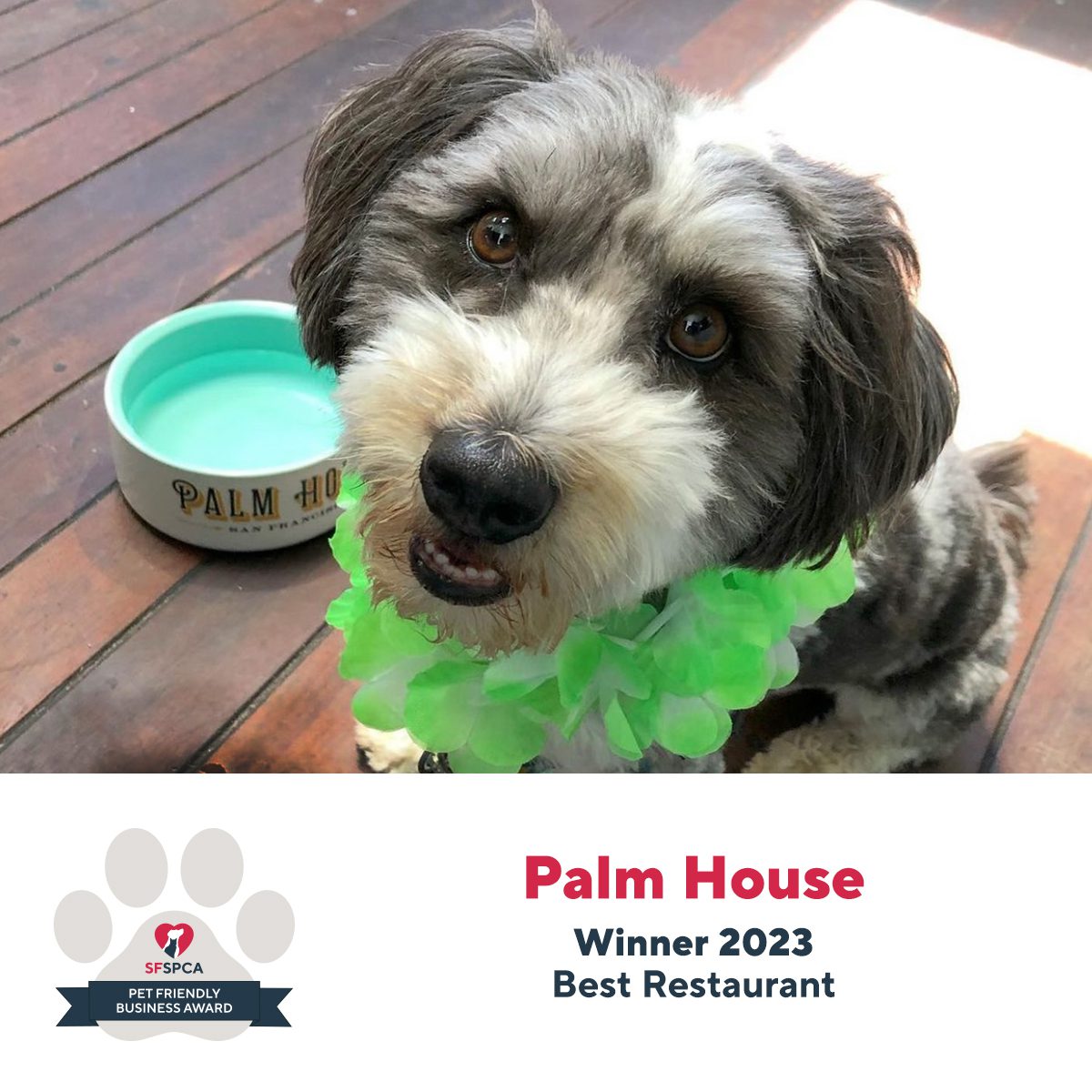 Palm House Winner 2023 Best Restaurant