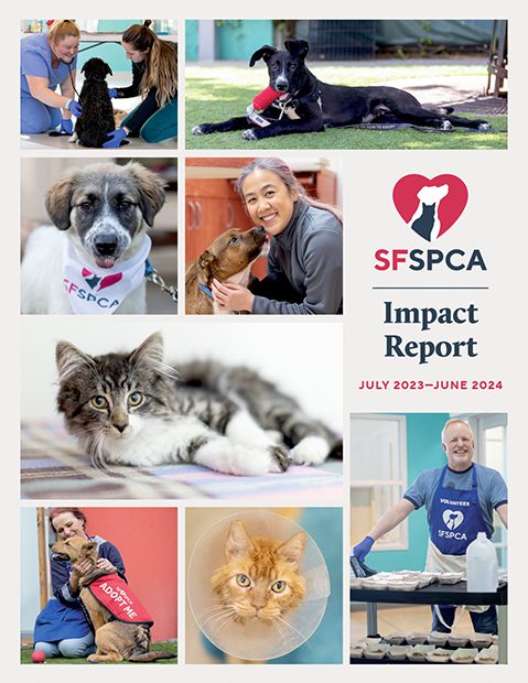 SF SPCA Impact Report 2023-2024 Cover